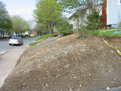 bare earth/rock bank at front of house